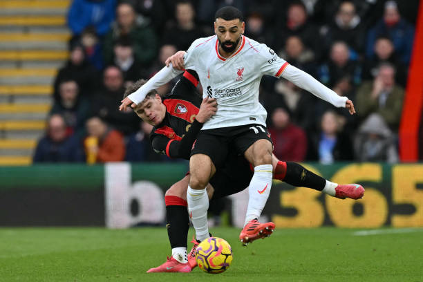 活性通常比 活性通常比